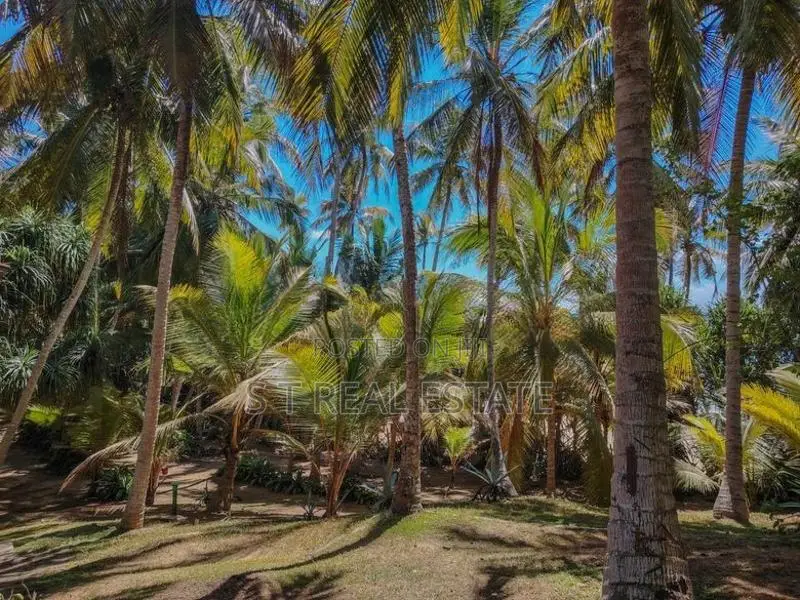 265P Beach Front Property For Sale in Tangalle