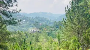 High Demand Area Ella Land For Sale