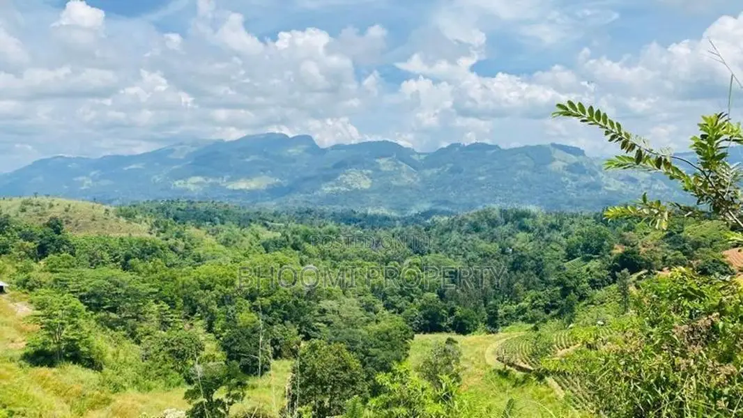 හන්තාන කදු පෙනෙන මානයේ අගනා බිම් කොටස් කිහිපයක්