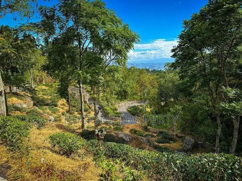 Land For Sale In Haputhale Idalgashinna