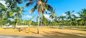 Polgasovita Land for Sale