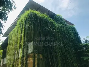 Family Room Kataragama