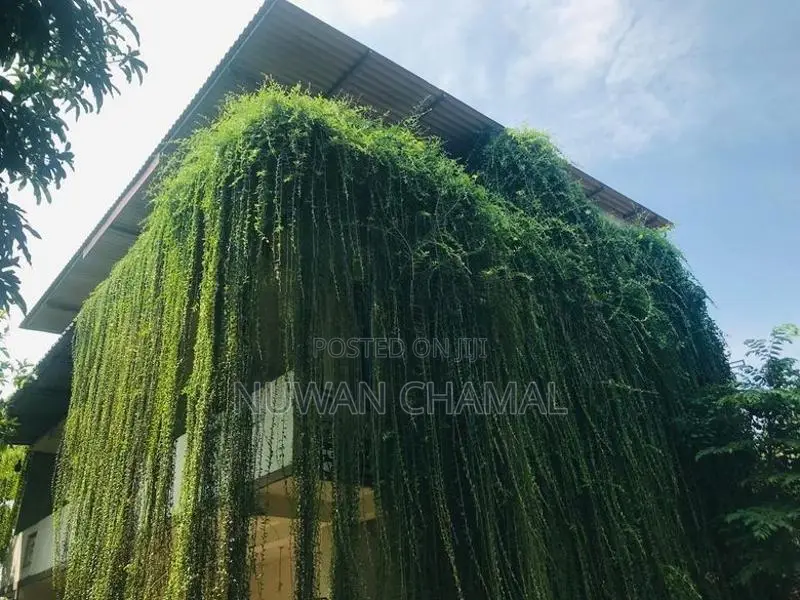 Family Room Kataragama