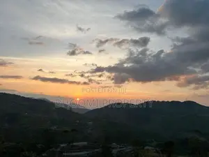 හැටන් වටවල අගනා බිම් කොටස් විකිණිමට