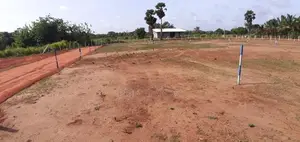 අනුරාධපුර සින්නක්කර ඉඩමක් - පාළාඩිකුලම