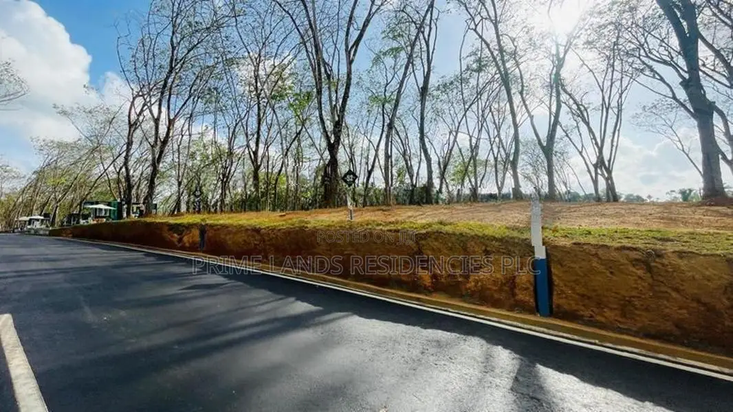 Valuable Land for Sale in Homagama Berukatiya