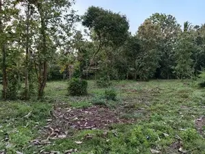 Katumuluwa, Kanaththewewa 86 Perches Land for Sale (SSPL-486)