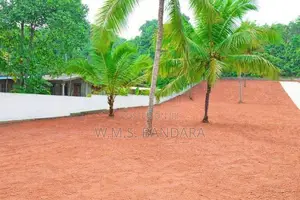 Developed Giriulla Land for Sale P7