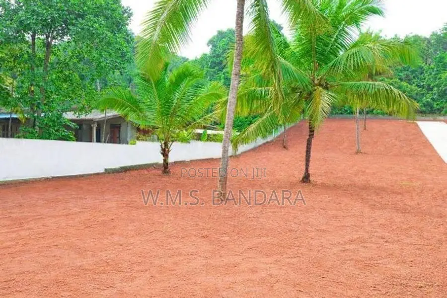 Developed Giriulla Land for Sale P7