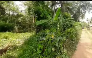 Kuliyapitiya 33 Perches Land for Sale (sspl-485)