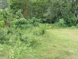 Land for Sale – Meegoda
