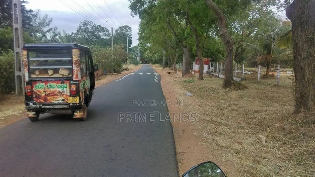අනුරාධපුර සින්නක්කර ඉඩමක් - පාළාඩිකුලම