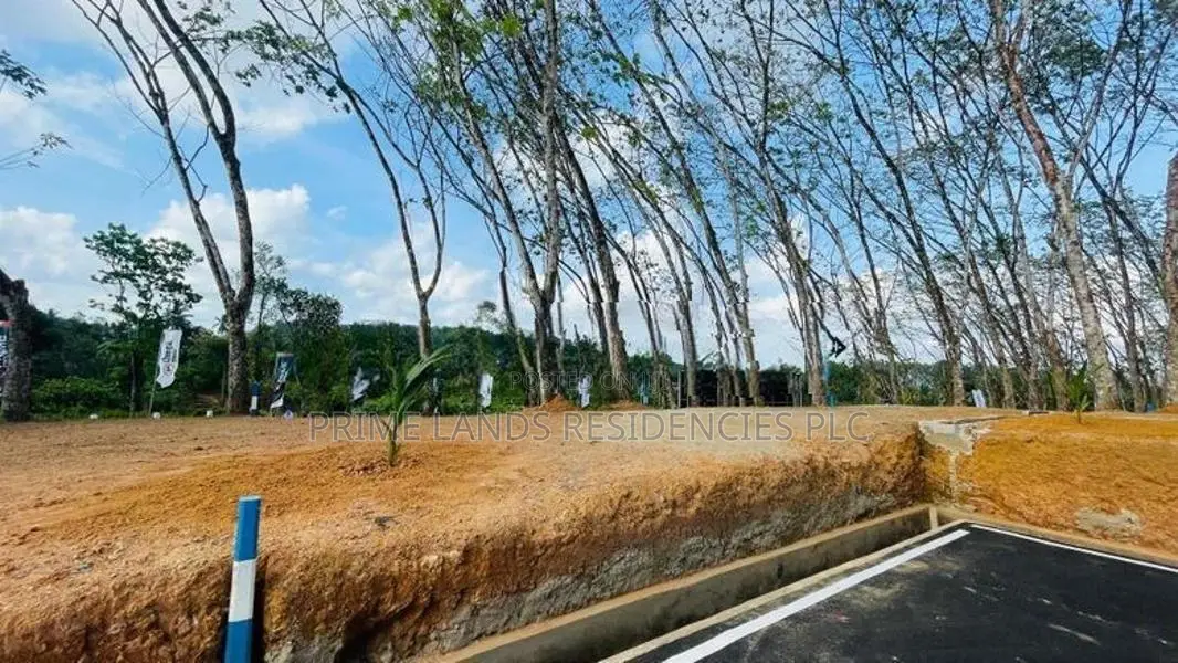 Valuable Land for Sale in Homagama Berukatiya
