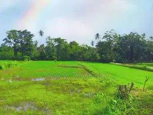Developed Giriulla Land for Sale P7