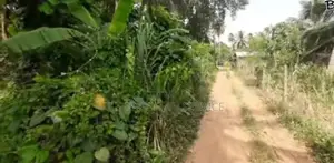 Kuliyapitiya 33 Perches Land for Sale (sspl-485)