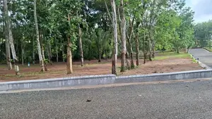 Land for Sale Divulapitiya
