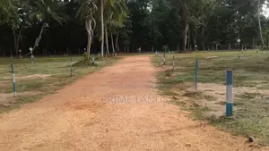 අනුරාධපුර සින්නක්කර ඉඩමක් - පාළාඩිකුලම