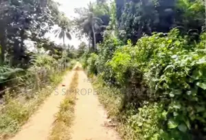 Kuliyapitiya 33 Perches Land for Sale (sspl-485)