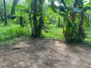 Land for Sale Kuliyapitiya