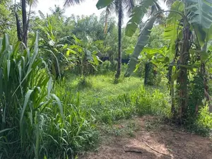 Land for Sale Kuliyapitiya
