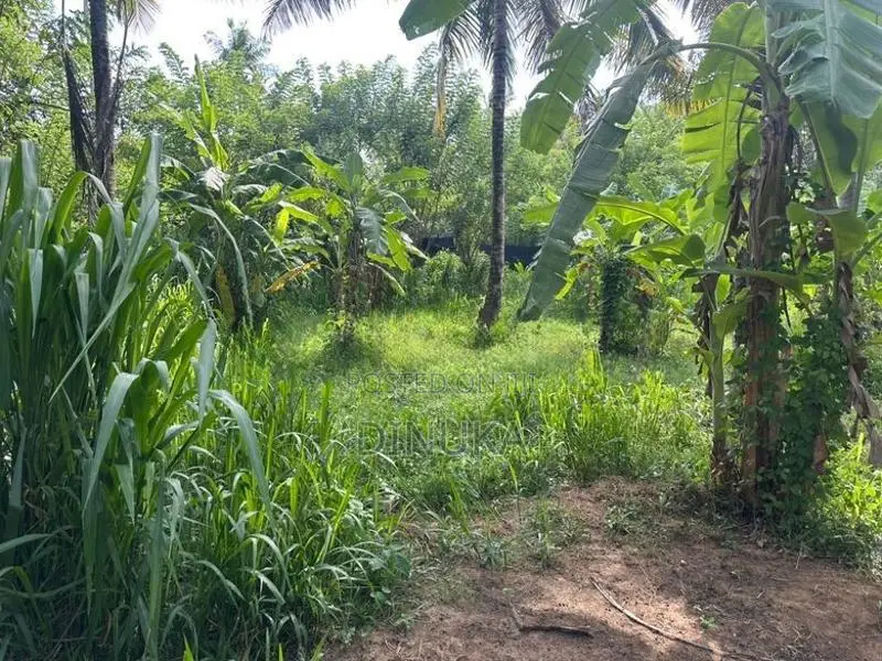Land for Sale Kuliyapitiya