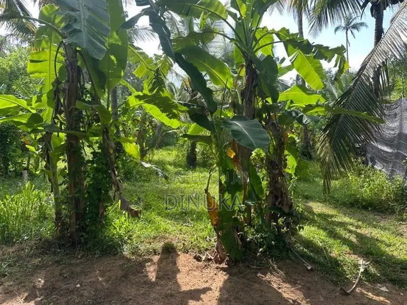 Land for Sale Kuliyapitiya