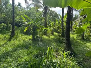 Land for Sale Kuliyapitiya