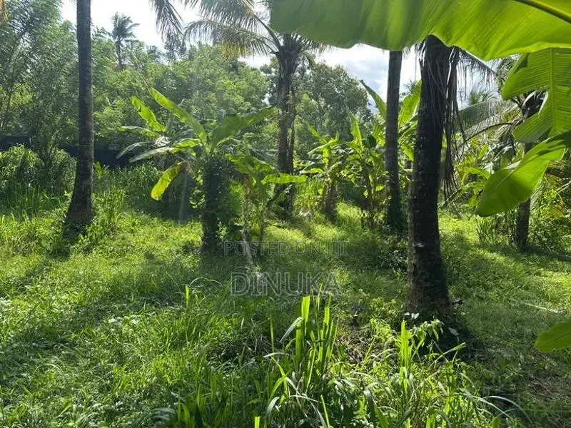Land for Sale Kuliyapitiya