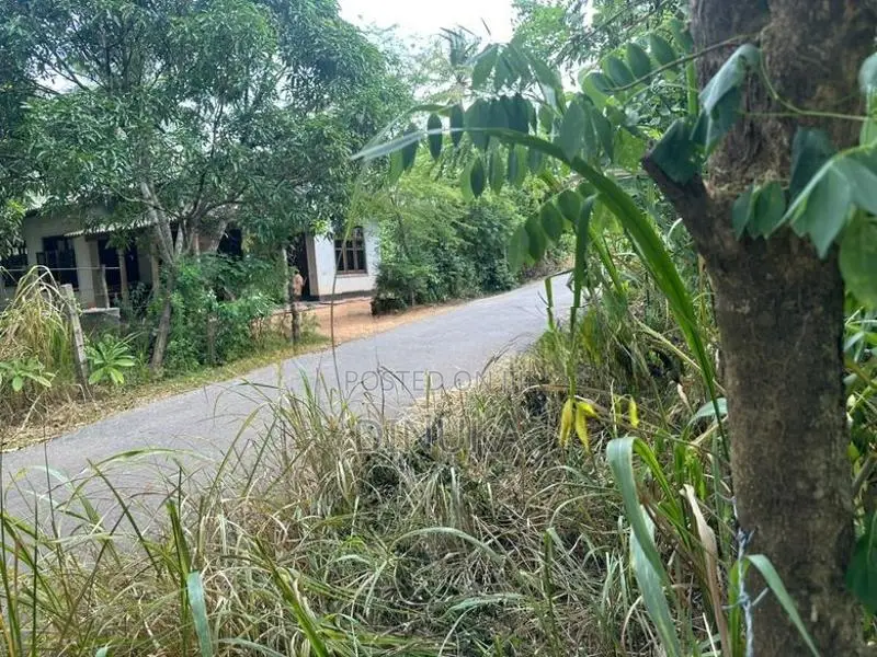 Land for Sale Kuliyapitiya