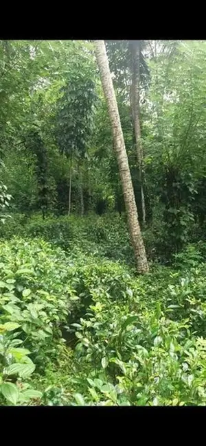 Residential Land for Sale in Pindeniya,