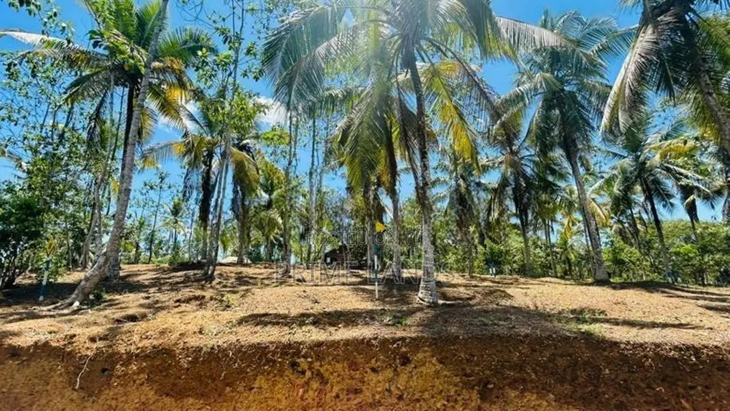 වටිනා ඉඩමක් කහතුඩුවෙන්