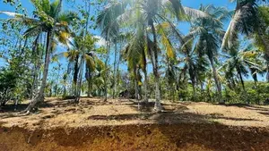 වටිනා ඉඩමක් කහතුඩුවෙන්