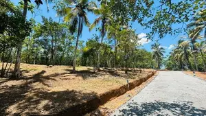 වටිනා ඉඩමක් කහතුඩුවෙන්