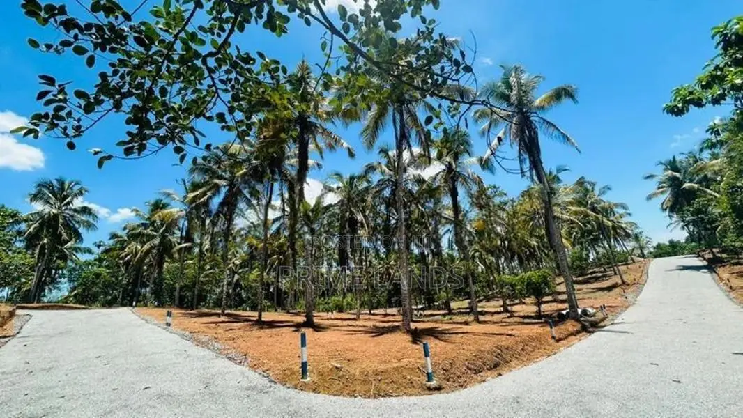 වටිනා ඉඩමක් කහතුඩුවෙන්