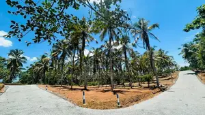 වටිනා ඉඩමක් කහතුඩුවෙන්