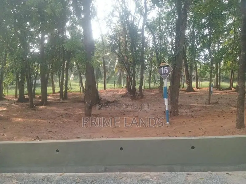 වටිනා මහෝගනී වත්තක් පිලියන්දල නගර සීමාවෙන්
