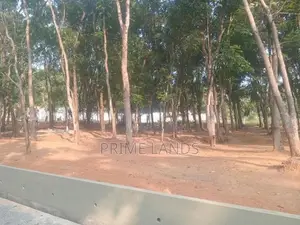 වටිනා මහෝගනී වත්තක් පිලියන්දල නගර සීමාවෙන්