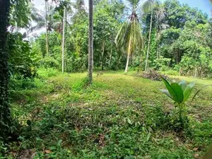 Land for Sale Gampaha Asgiriya