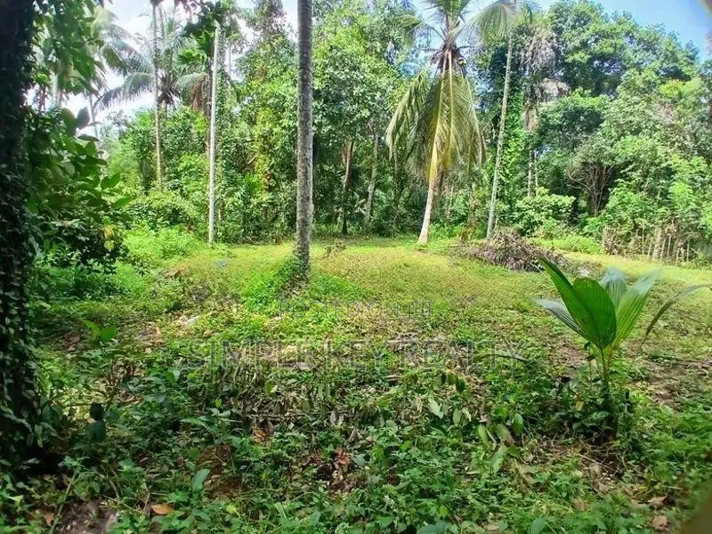 Land for Sale Gampaha Asgiriya