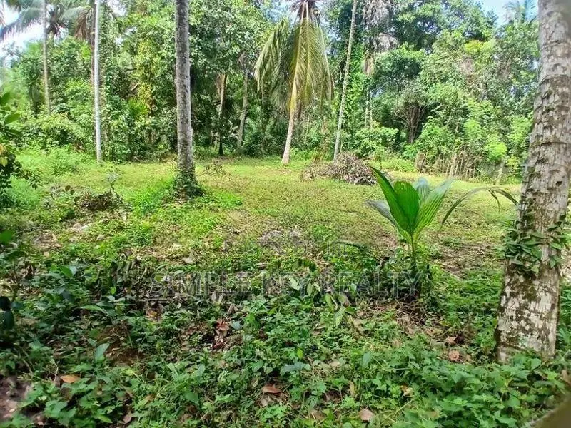 Land for Sale Gampaha Asgiriya