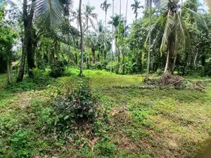 Land for Sale Gampaha Asgiriya
