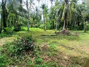 Land for Sale Gampaha Asgiriya