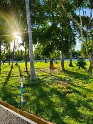Valuable Land Plots in Pannala. s
