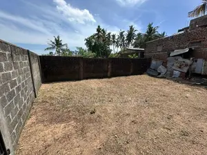 Land for Sale in Sainthamaruthu