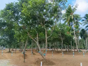 Valuable Land Plots in Pannala. s