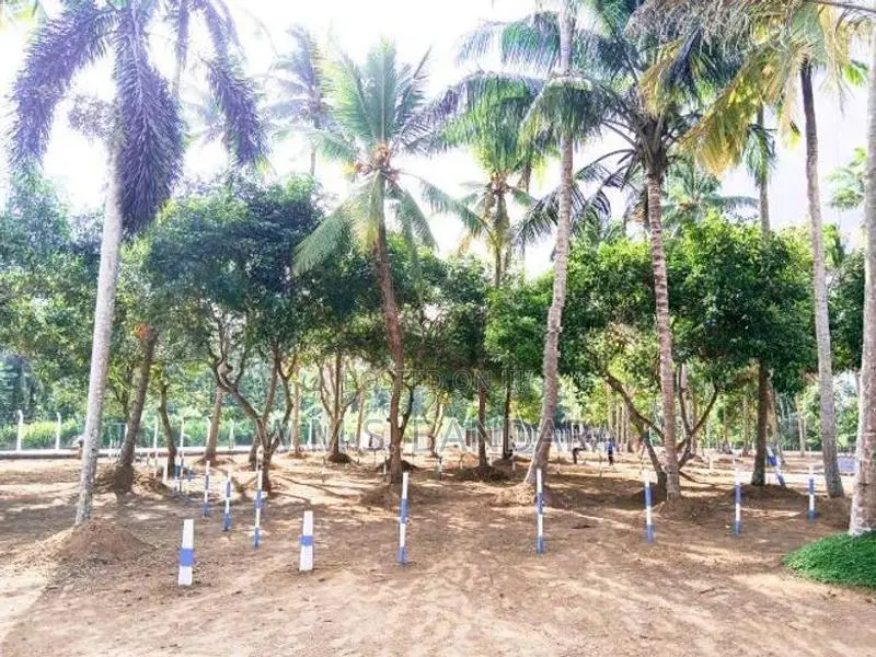 Valuable Land Plots in Pannala. s