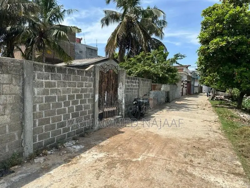 Land for Sale in Sainthamaruthu