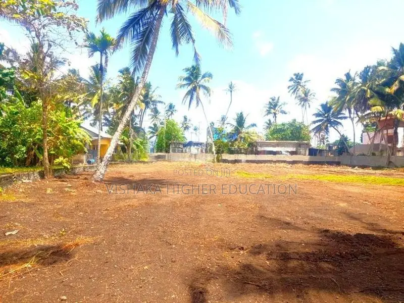 Prime Beachfront Land for Sale – Akurala, Hikkaduwa