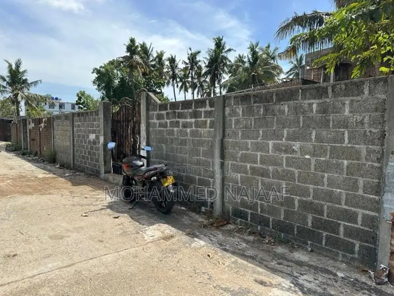 Land for Sale in Sainthamaruthu