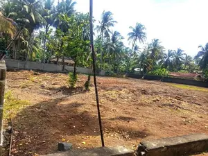 Prime Beachfront Land for Sale – Akurala, Hikkaduwa